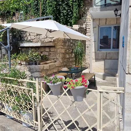 House Vesela וילה
