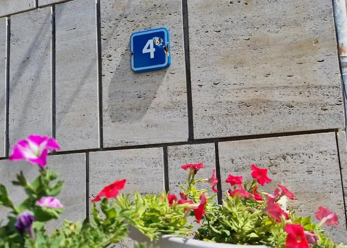 House Vesela Μπαλτσίκ